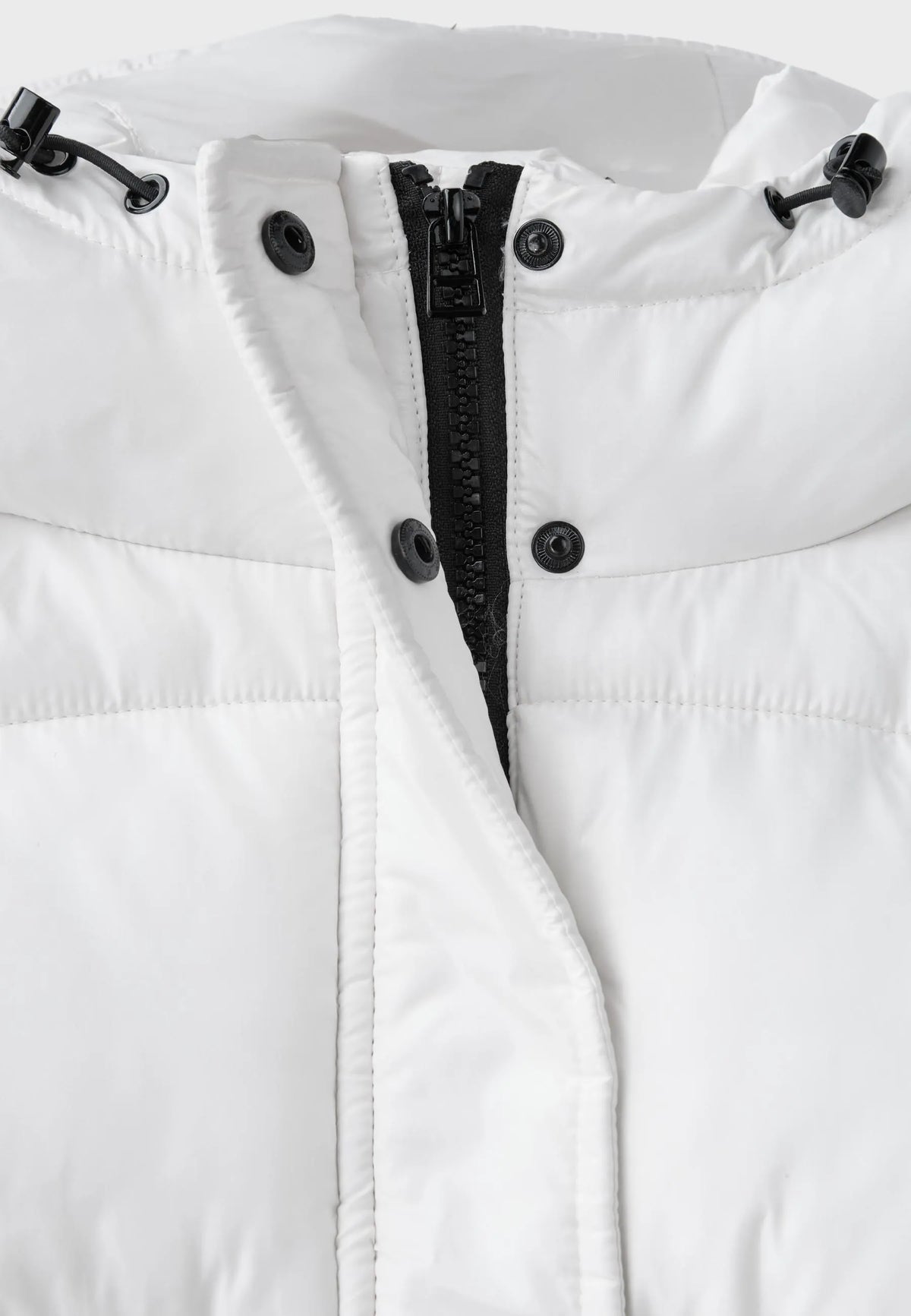 Vanilla