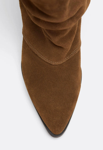 TAN